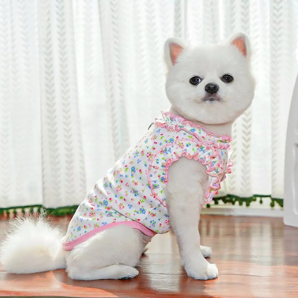 A white dog wearing a floral patterned vest for dogs and cats.