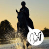 A person riding a horse, splashing water as they move through a field.