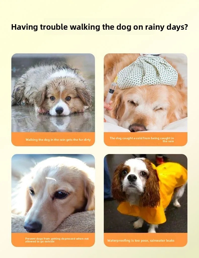 Clear Waterproof Dog Raincoat with Adjustable Hood
