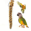 Stainless Steel Parrot Forager Feeder with Spiral Fruit Basket