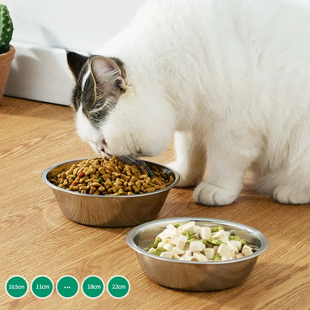 Stainless Steel Pet Food Bowl for Dogs and Cats