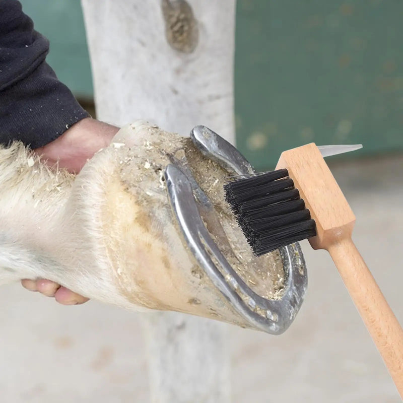 Pioche à sabot et Brosse de toilettage pour chevaux