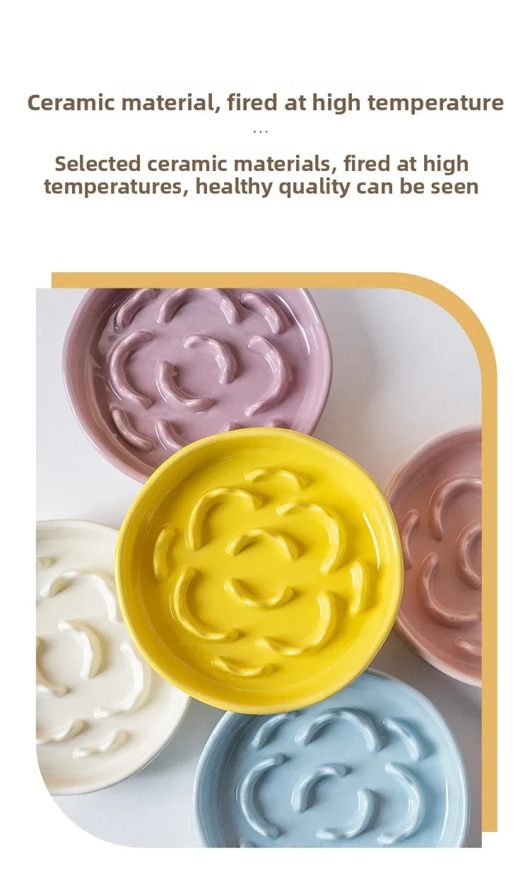Ceramic Elevated Cat Bowl with Slow Feeder Design