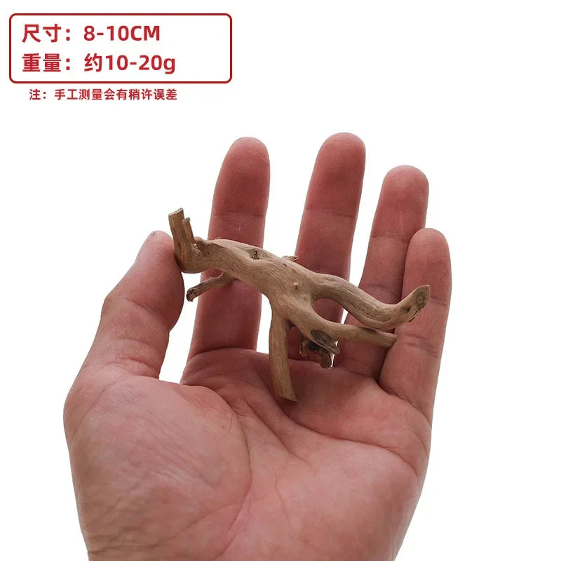 A hand holds small, natural driftwood branches suitable for reptile and turtle habitats.