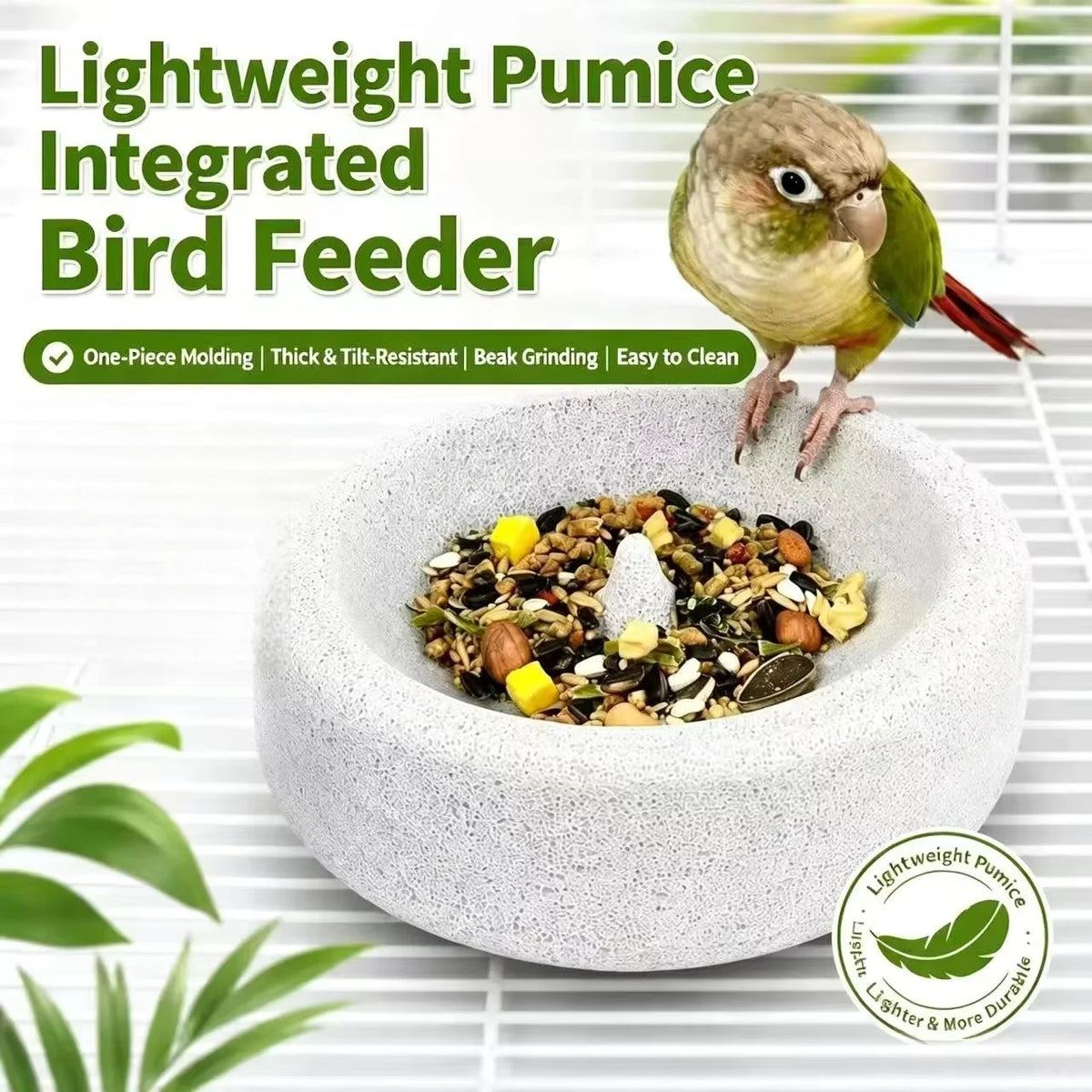 Natural Pumice Feeding Bowl with Anti-Tip Base for Small Parrots