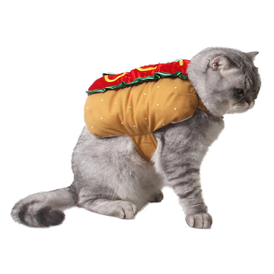 A gray cat wearing a yellow hot dog costume with a red and green striped collar.