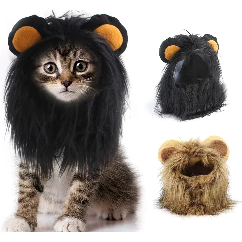 A black cat costume hat with orange ears and a fluffy lion mane for cats and small dogs