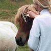 Peigne d'Équitation Ergonomique