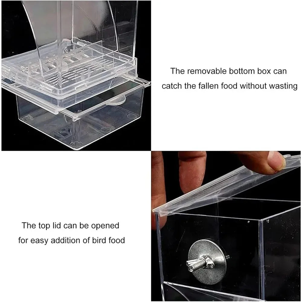Stainless Steel Automatic Bird Feeder and Drinker for Parakeets