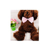 Pet Bow Tie Collar with Adjustable Strap