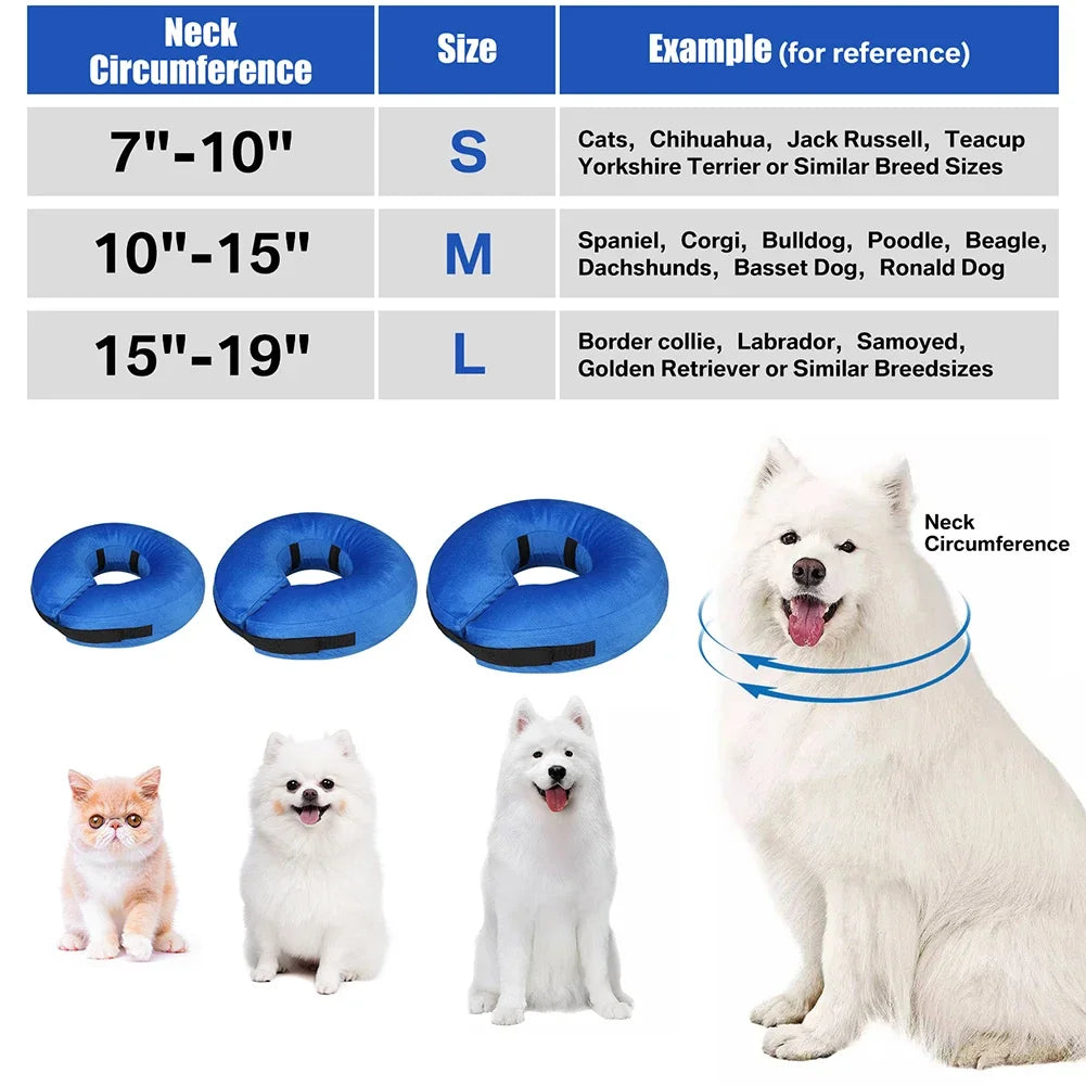 Inflatable Recovery Collar for Dogs and Cats