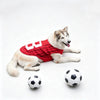 Un chien blanc et duveteux portant un gilet rayé rouge et blanc, à côté d'un ballon de football.