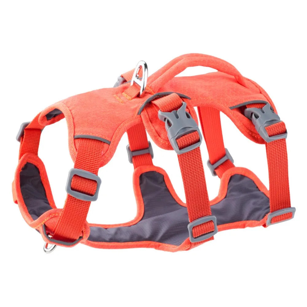 Orange padded dog harness with gray control handles