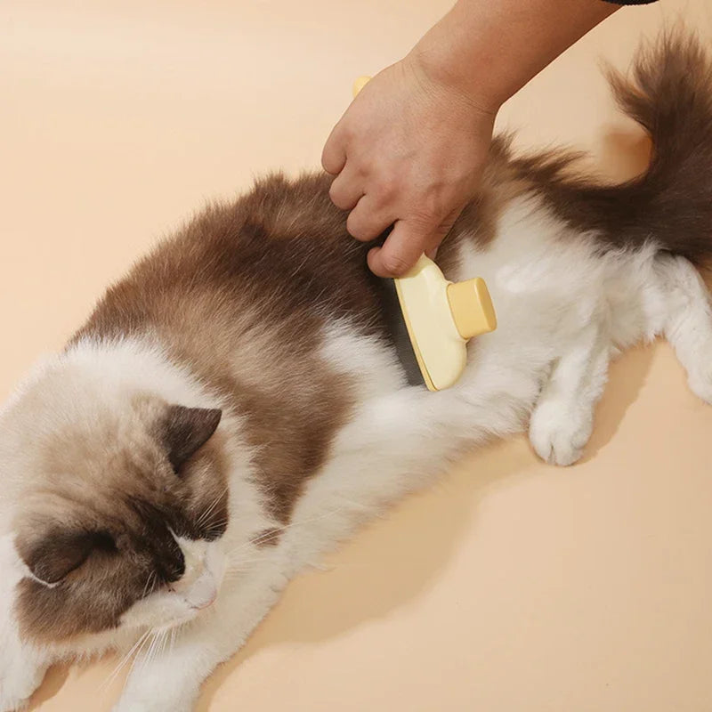 Peigne de toilettage pour éliminer les poils d'animaux