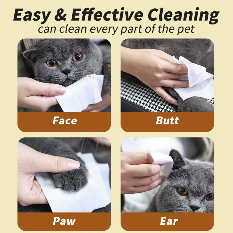 Plant-Based Deodorizing Pet Wipes for Sensitive Skin