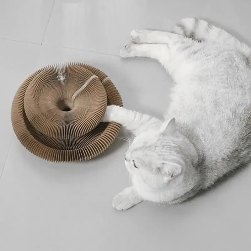 A white cat is interacting with a brown accordion-style scratching board and ball.