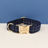 A navy blue plaid dog collar with a gold buckle and the name OLLIE engraved on the tag.