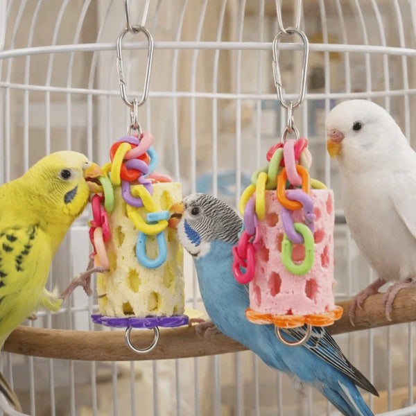 Colorful hanging chewing toys for parrots and small pets are visible inside a wire cage.