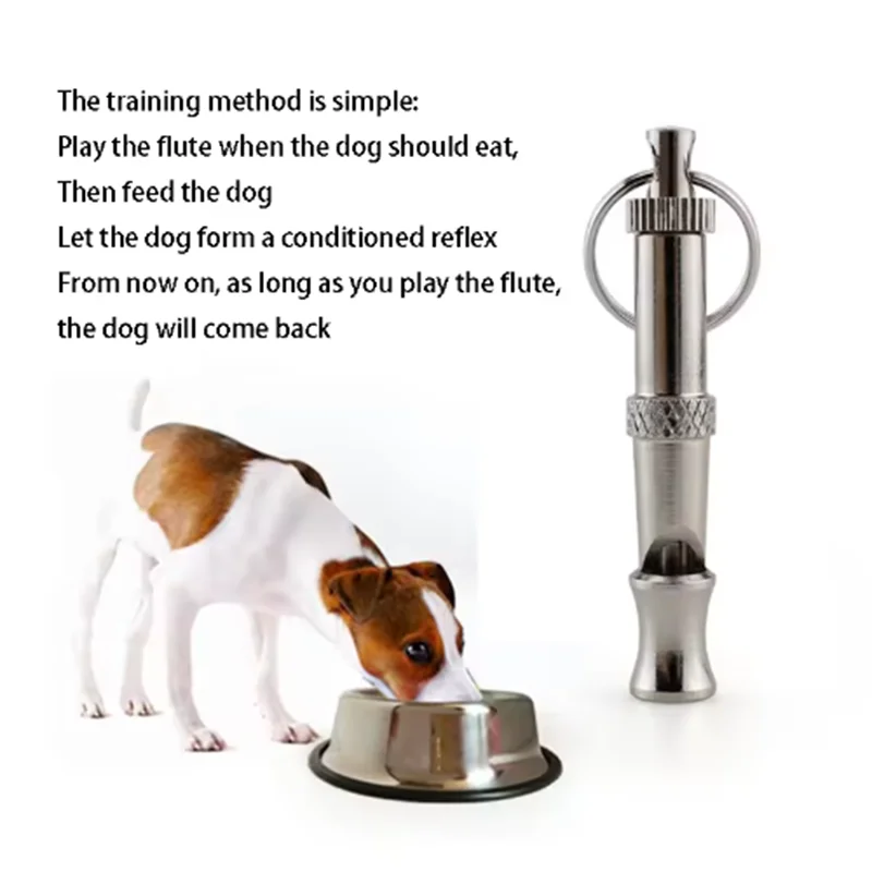 Ultrasonic Dog Training Whistle - Portable Silver