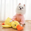 A fluffy white dog wearing a pink shirt is sitting next to a yellow plush duck chew toy.