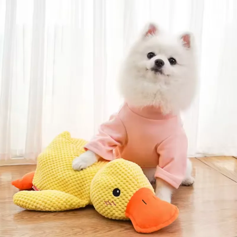 A fluffy white dog wearing a pink shirt is sitting next to a yellow plush duck chew toy.