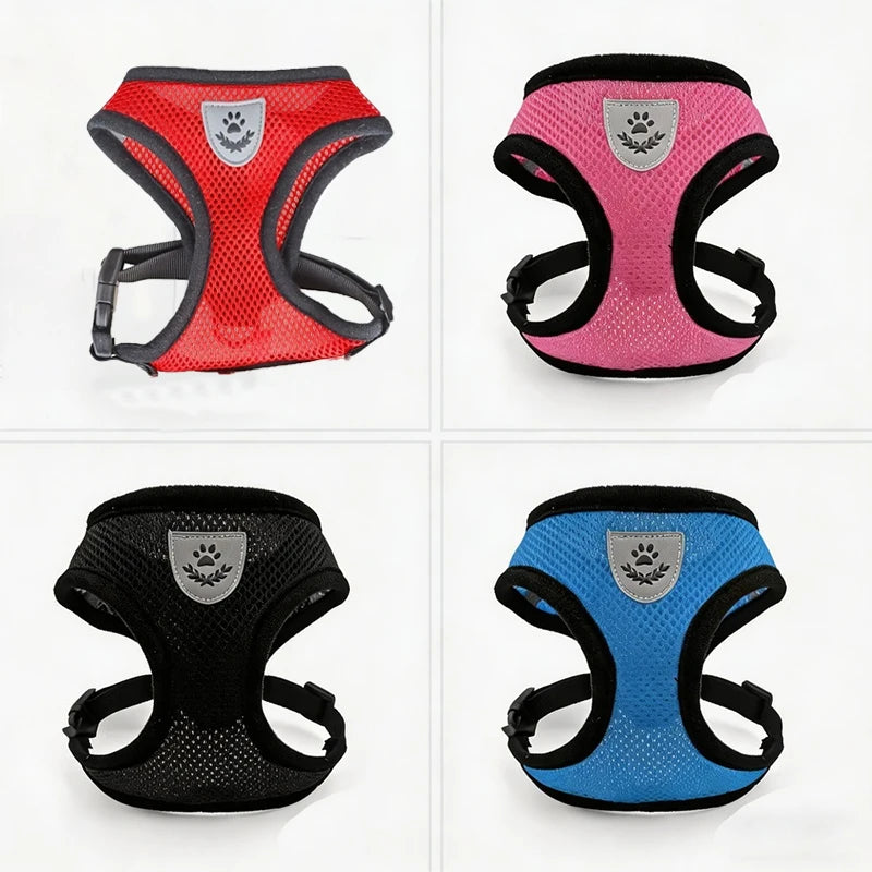 Four brightly colored cat harnesses in red, pink, black, and blue displayed against a white background.