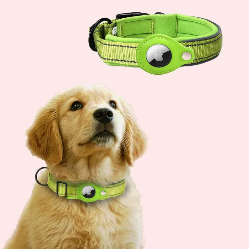 A golden retriever wearing a lime green reflective AirTag dog collar with an Apple logo charm.