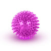 Squeaky Rubber Dog Ball Toy