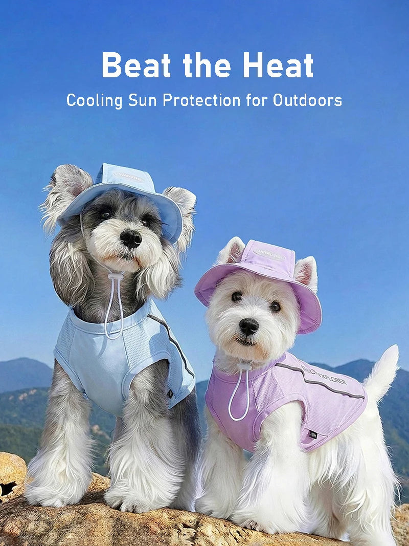 Two dogs wearing breathable mesh cooling vests and sun protection hats sitting outdoors.