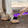 Pioche et Brosse à Sabots 2-en-1