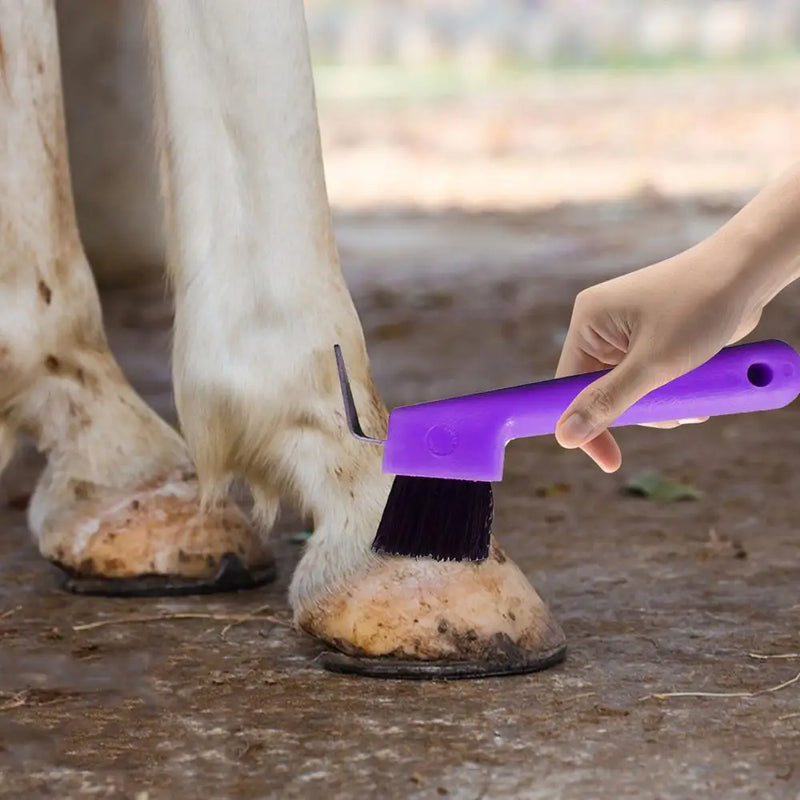 Pioche et Brosse à Sabots 2-en-1