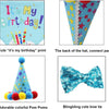 Set von Hundebirthday-Outfits mit blau-rosa Muster, bunten Pompons und blauer Fliege.