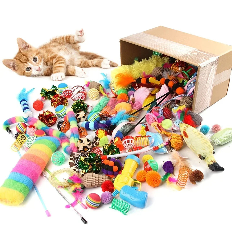 Pack de Jouets pour Chats Assortis