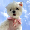 Breathable Dog T-Shirt with Collar for Summer