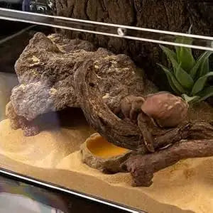 Natural Resin Rock Cave Hideout for Reptiles