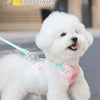 Striped Color-Block Dog Harness with Matching Leash