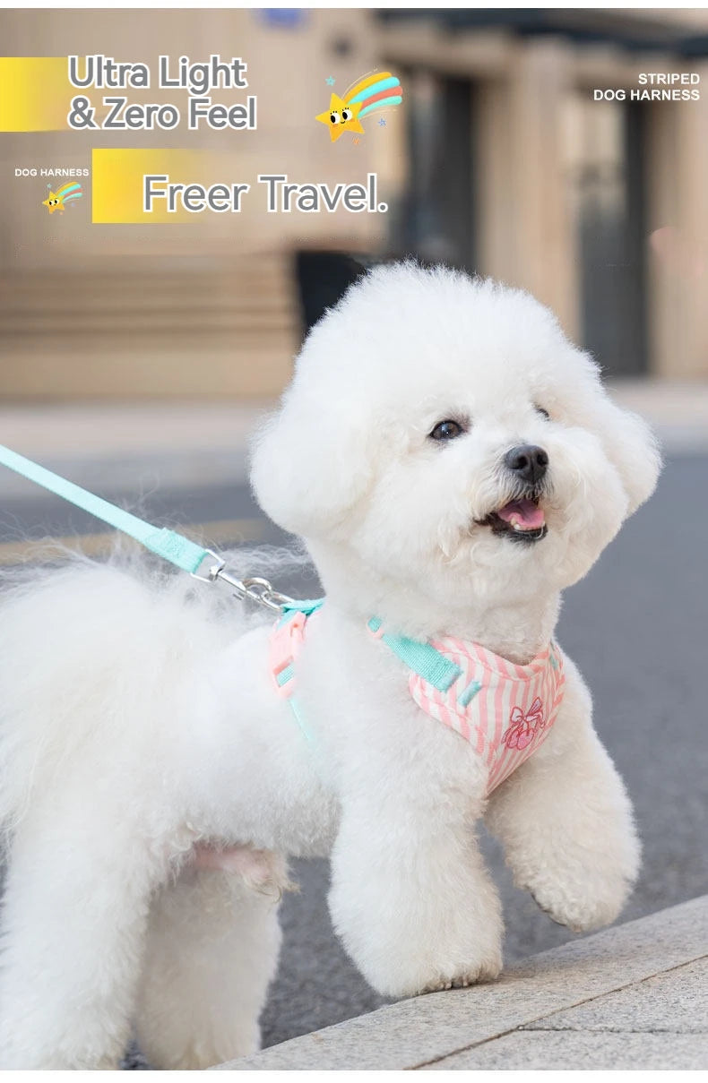 Striped Color-Block Dog Harness with Matching Leash