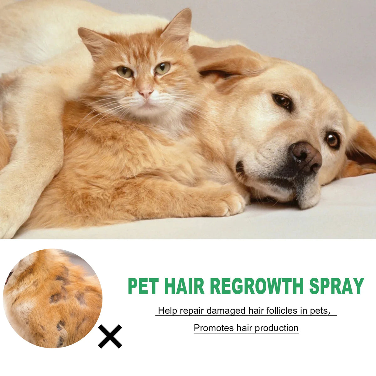 Soothing Pet Skin Care Spray for Itch Relief & Fur Regrowth