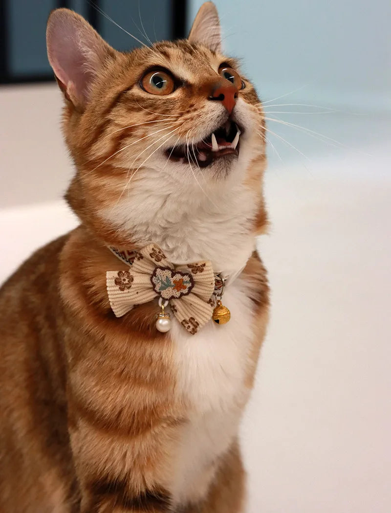 A tabby cat wearing a beige patterned breakaway collar with a bowknot and small bell.