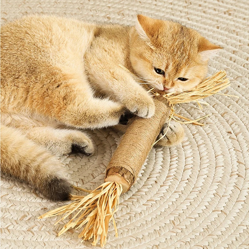 A fluffy orange tabby kitten is playing with a natural wood chew toy.