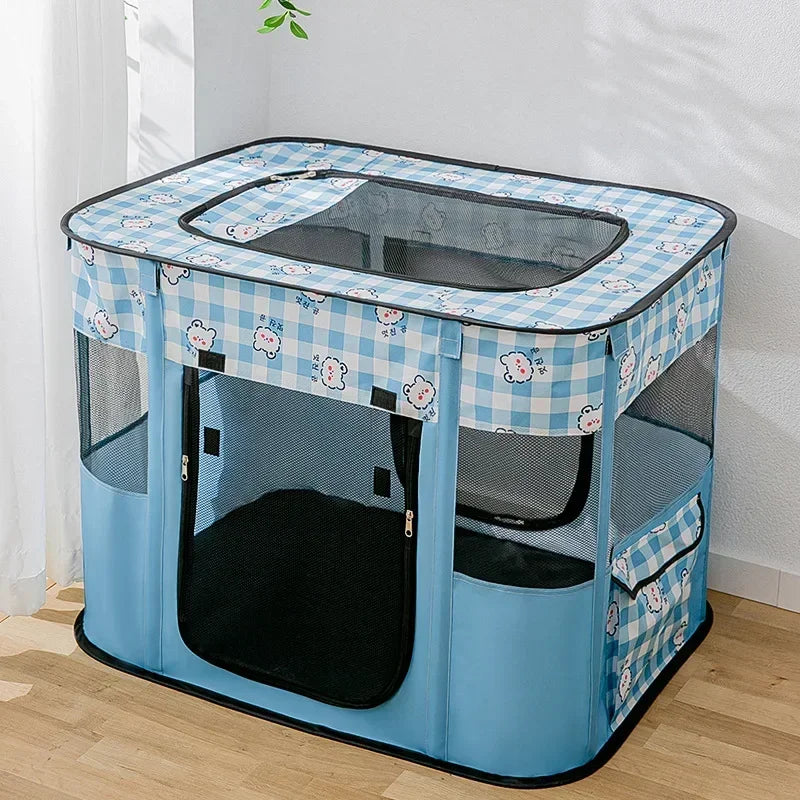 A light blue folding cat tent bed with a checkered pattern and a clear top, shown in a room setting.