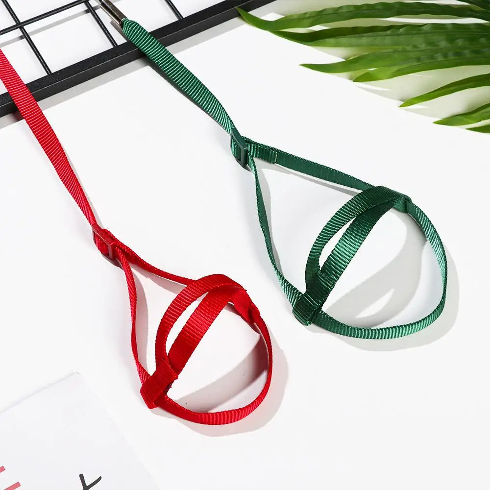 A red and green bird harness with adjustable flight leash laid out on a white surface.