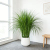 Artificial Reed Grass Bouquet – 50cm Tropical Faux Plant