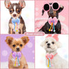 Lace Bow Tie Collar Accessory for Small Dogs and Cats