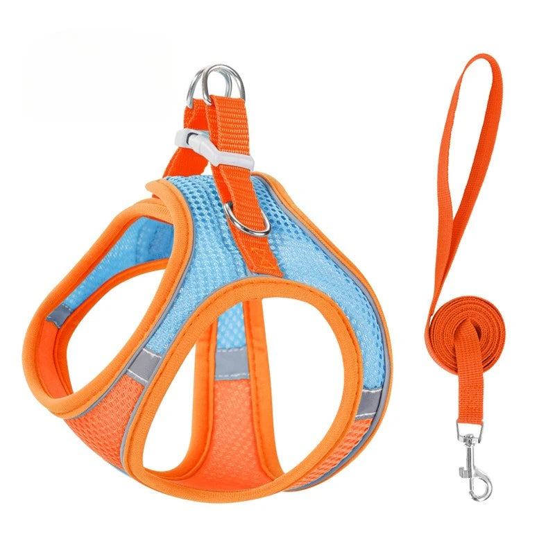 Orange and blue reflective no-pull dog harness with a leash attached