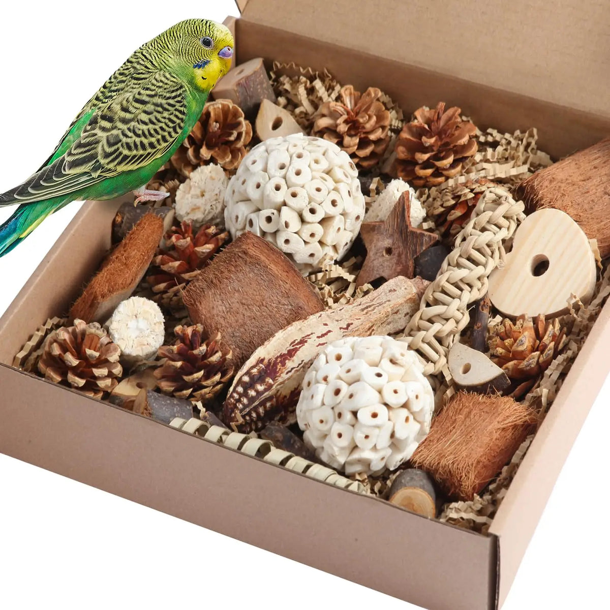 Natural Foraging Box Bird Toy with Foot Toys for Parakeets, Cockatiels, Conures, and Lovebirds