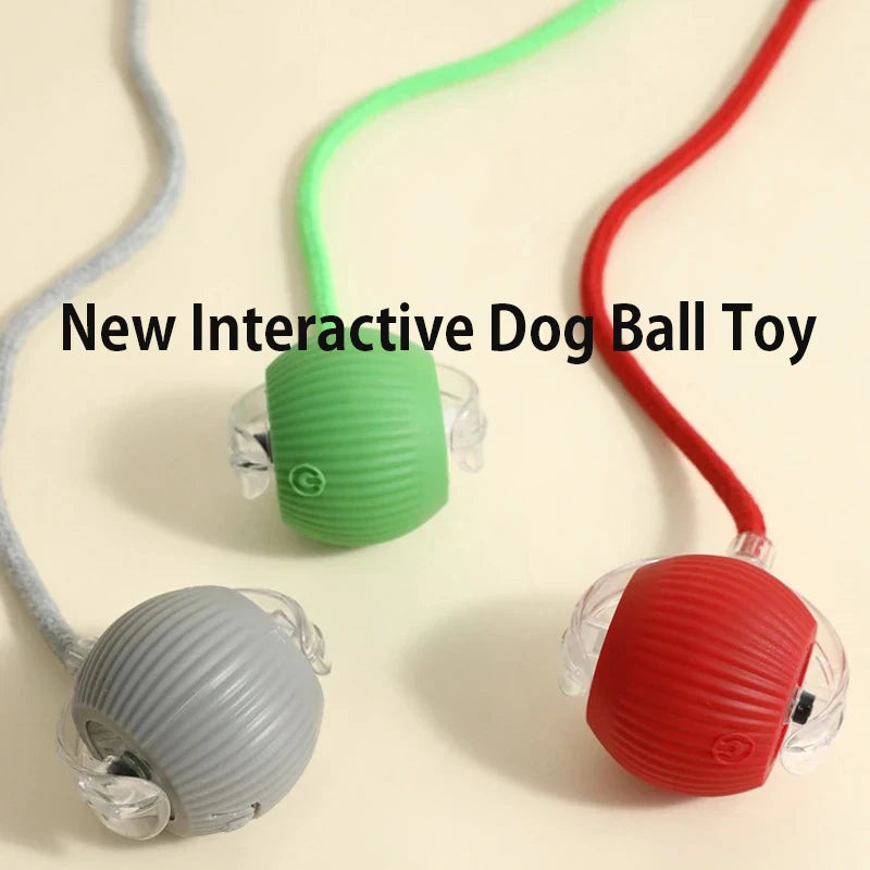 Smart Interactive Dog Ball Toy