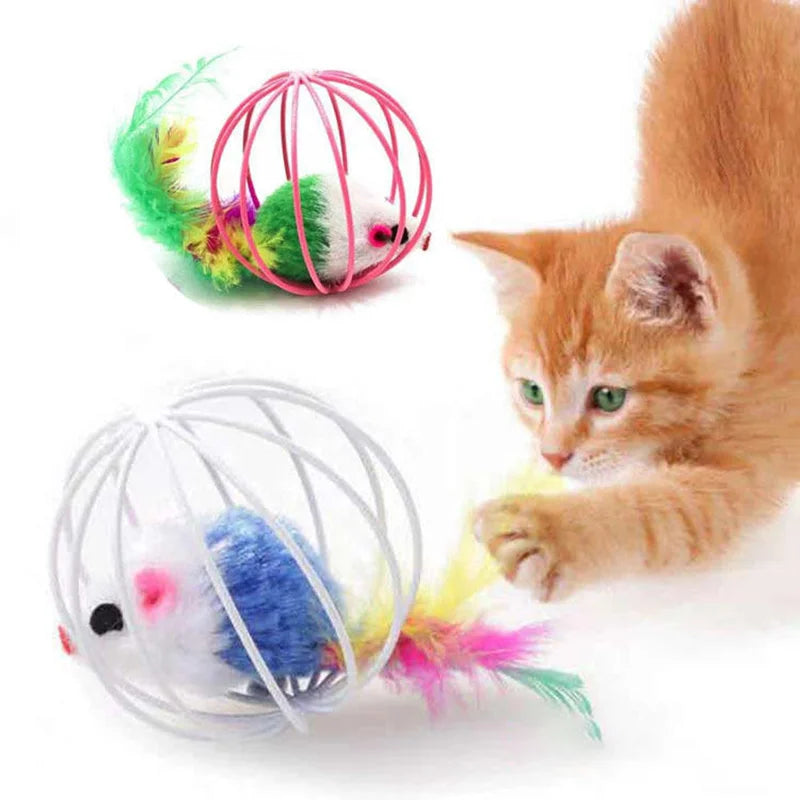 Ein flauschiger, oranger Kater spielt mit einem rosa-grünen Metallballspielzeug.