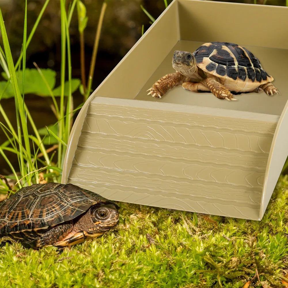Reptile Food and Water Bowl with Anti-Slip Ramp