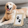 Ein goldener Retriever liegt neben einem Holzrahmen mit einem schwarzen Pfotenspuren.